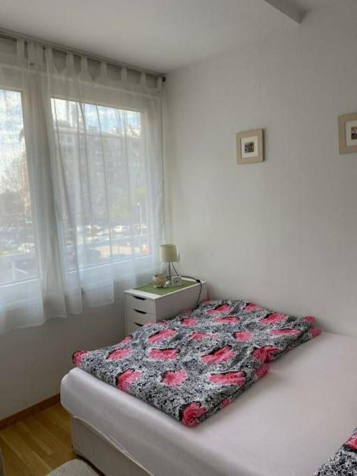 Lomea Nada Zagreb