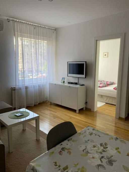 Lomea Nada Zagreb